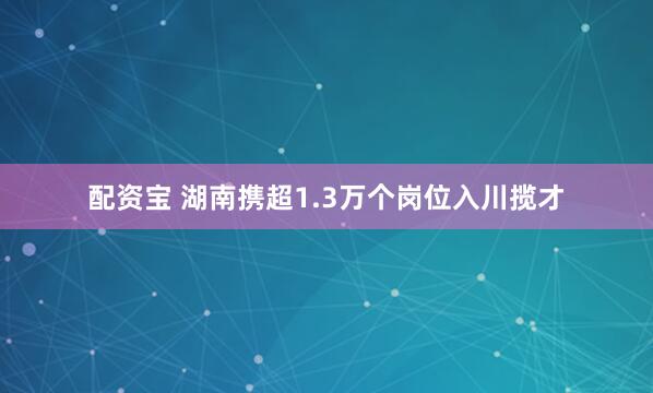 配资宝 湖南携超1.3万个岗位入川揽才