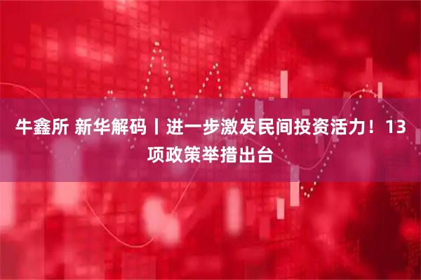 牛鑫所 新华解码丨进一步激发民间投资活力！13项政策举措出台
