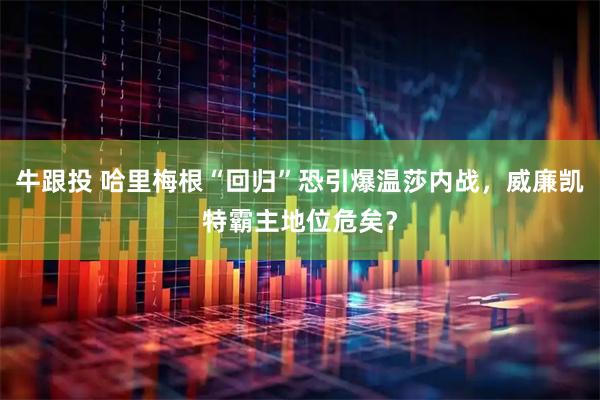 牛跟投 哈里梅根“回归”恐引爆温莎内战，威廉凯特霸主地位危矣？