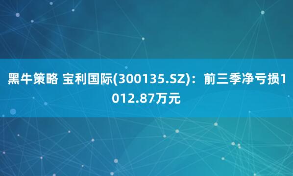 黑牛策略 宝利国际(300135.SZ)：前三季净亏损1012.87万元