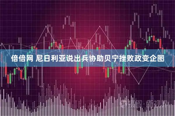 倍倍网 尼日利亚说出兵协助贝宁挫败政变企图