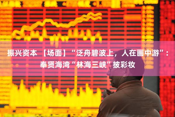 振兴资本 【场面】“泛舟碧波上，人在画中游”：奉贤海湾“林海三峡”披彩妆