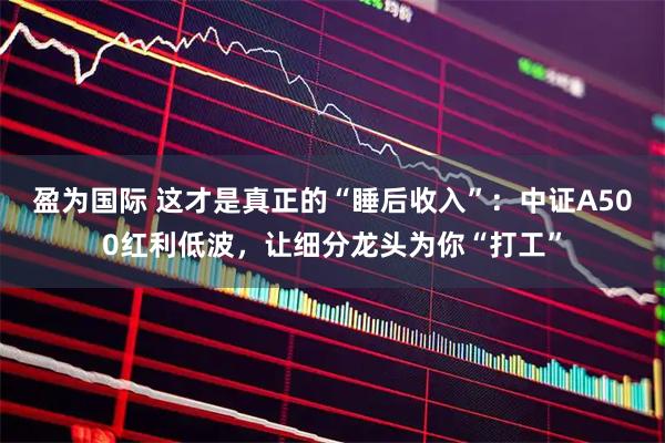 盈为国际 这才是真正的“睡后收入”：中证A500红利低波，让细分龙头为你“打工”