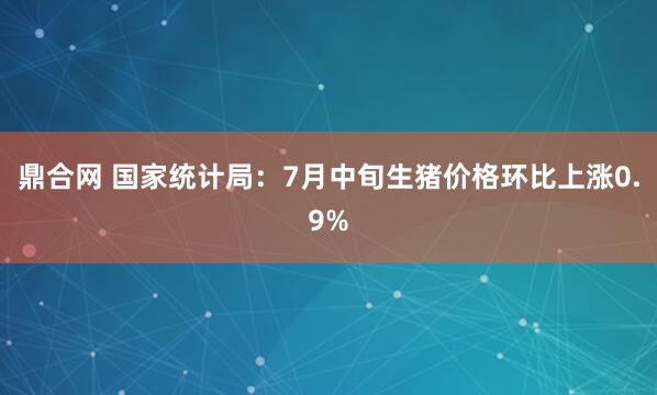 鼎合网 国家统计局：7月中旬生猪价格环比上涨0.9%